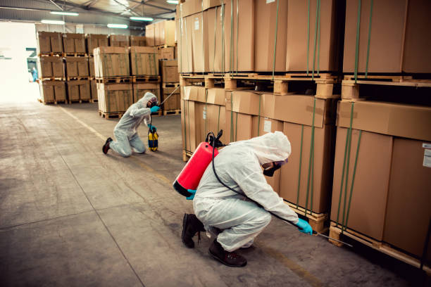 Best Affordable Pest Control Services  in La Vergne, TN