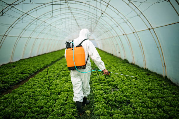 Best Local Pest Control Services  in La Vergne, TN