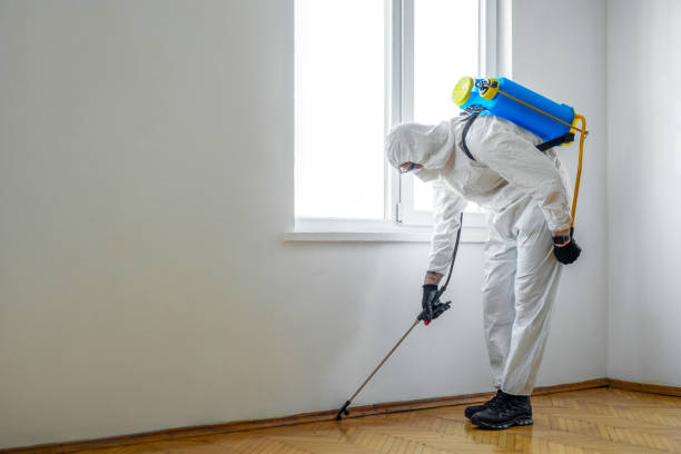 Professional Pest Control in La Vergne, TN