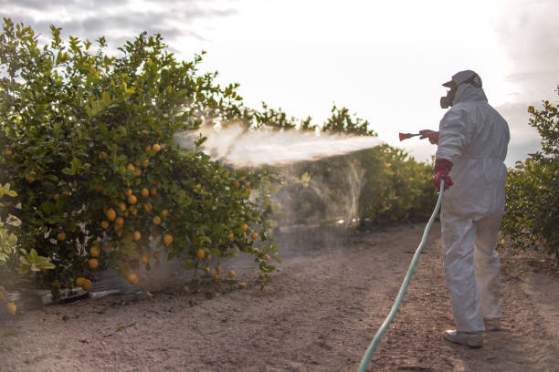 Best Pest Inspection Near Me  in La Vergne, TN