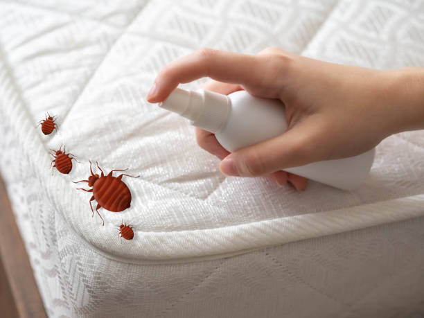 Best Best Pest Control Companies  in La Vergne, TN